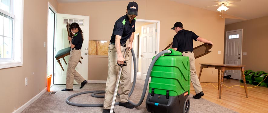 Downtown Houston , TX cleaning services